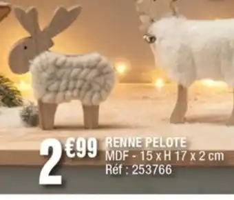La Foir'Fouille Renne Pelote offre