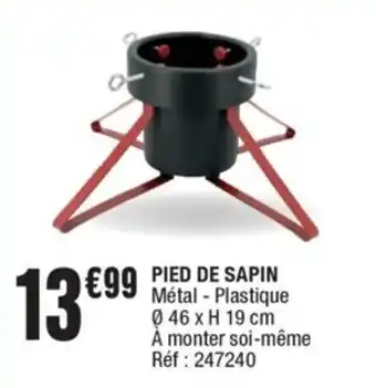 Pied de Sapin