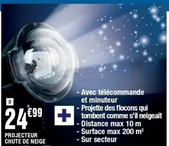 La Foir'Fouille Projecteur Chute de Neige offre