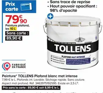 Castorama Peinture Tollens Plafond Blanc Mat Intense offre