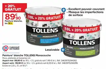 Castorama Peinture Blanche Tollens Monocouche offre