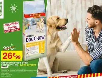 Bricomarché Croquettes Dog Chow offre