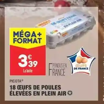 ALDI 18 œufs de poules élevées en plein air picota offre