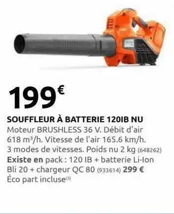 Rural Master Souffleur à batterie 120ib nu offre