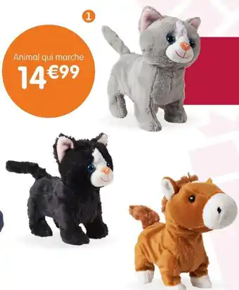 Animal qui marche