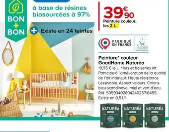 Castorama Naturéa peinture couleur goodhome offre
