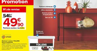 Castorama Tollens peinture couleur murs et boiseries* offre