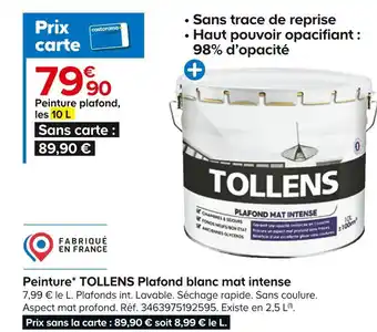 Castorama Tollens peinture plafond blanc mat intense offre