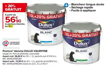 Castorama Dulux valentine peinture blanche offre