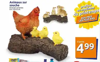 Action Animaux Sur Souche offre
