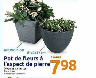 Action Pot De Fleurs à L'aspect De Pierre offre
