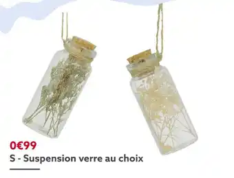 Gifi Suspension verre + fleurs séchées offre