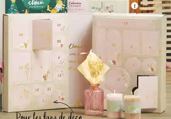Gifi Calendrier de l’avent fleurs séchées offre
