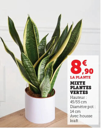 Super U Mixte Plantes Vertes offre