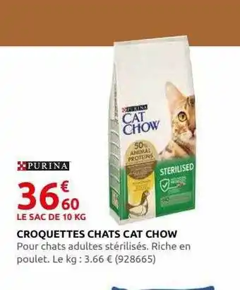 Rural Master Croquettes chats cat chow purina offre