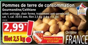 Norma Pommes de terre de Consommation offre