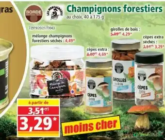 Norma Champignons Forestiers offre