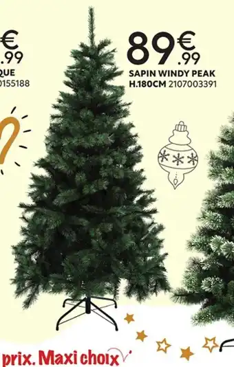 Maxi Bazar Sapin Windy Peak offre