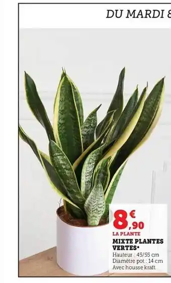 Hyper U Mixte plantes vertes offre
