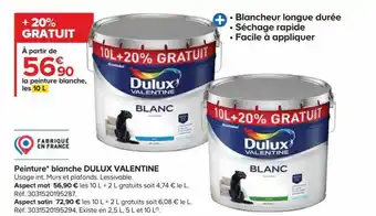 Castorama Peinture blanche dulux valentine offre