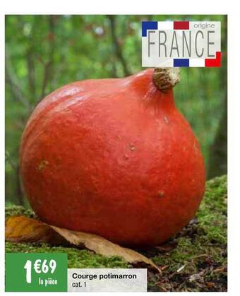 Courge potimarron
