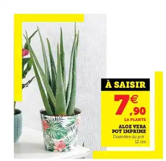 Aloe Vera Pot Imprimé