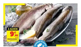 U Express Truite De Mer offre