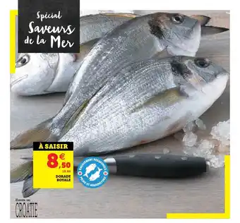 U Express Dorade Royale offre