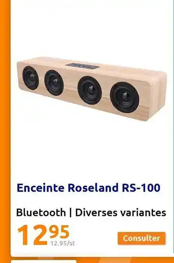 Enceinte roseland rs-100