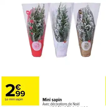 Carrefour Mini sapin offre