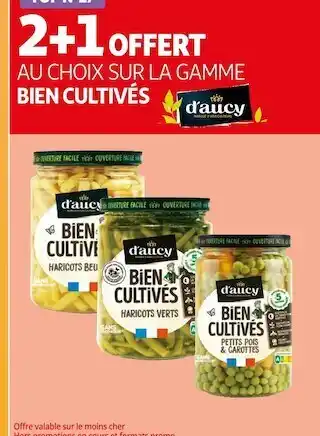 Auchan D'aucy 2+1 offert sur la gamme bien cultivés d'aucy offre