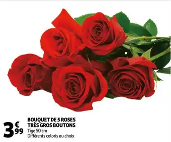 Auchan Bouquet de 5 roses très gros boutons offre