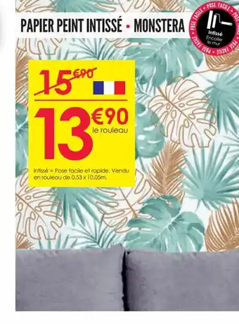 Décor Discount Papier Peint Intisse Monstera offre