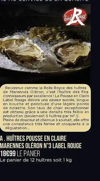 Huîtres pousse en claire marennes oléron n°3 label rouge