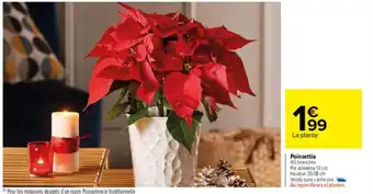 Carrefour Market Poinsettia offre