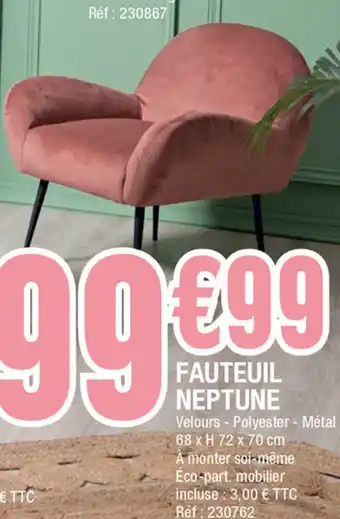 La Foir'Fouille Fauteuil Neptune offre
