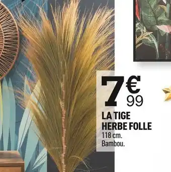 Centrakor La tige herbe folle offre