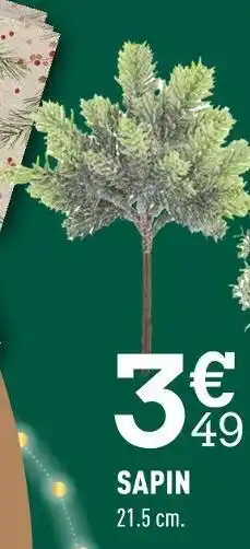 Centrakor Sapin offre