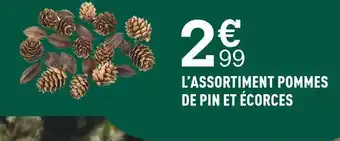 Centrakor L’assortiment pommes de pin et écorces offre
