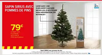 Carrefour Sapin Sirius Avec Pommes De Pins offre