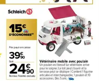 Carrefour Veterinaire Mobile Avec Poulain offre