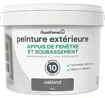 Brico Dépôt PEINTURE APPUIS DE FENÊTRE ET SOUBASSEMENT 2,5 L** offre