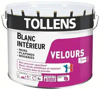 Brico Dépôt PEINTURE MURS ET PLAFONDS BICOUCHE BLANC VELOURS 10 L offre