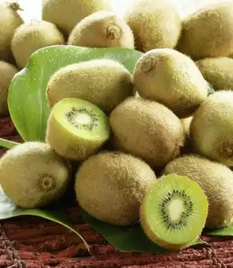 Kiwi vert