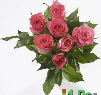 Géant Casino Bouquet 7 roses offre