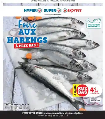 Hareng
