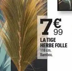 Centrakor La tige herbe folle offre