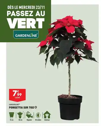 ALDI Poinsettia sur tige GARDENLINE offre