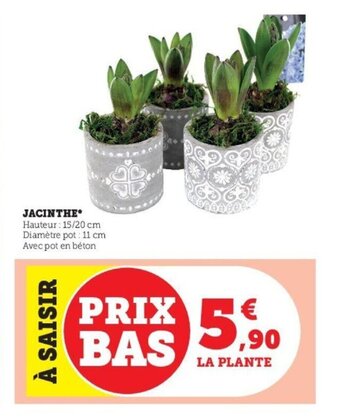 Super U Jacinthe offre