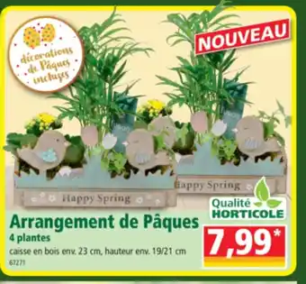 Norma Arrangement de Pâques offre